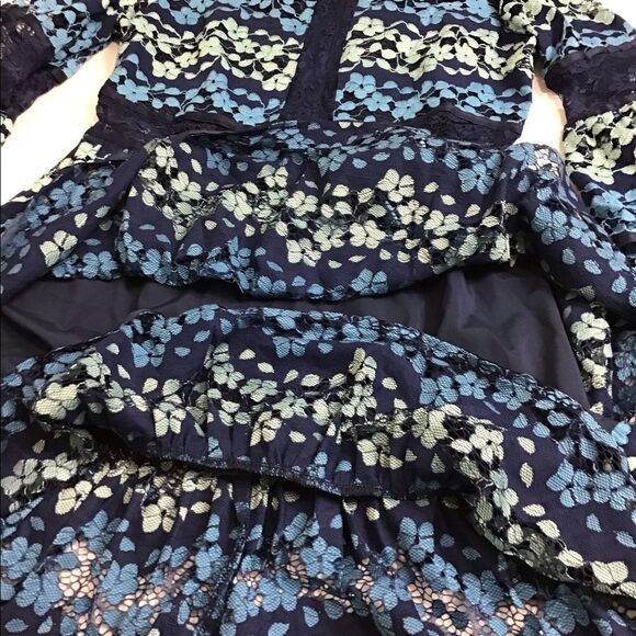 Dolly & Delicious Embroidered Lace Skater Dress - Picture 6 of 11